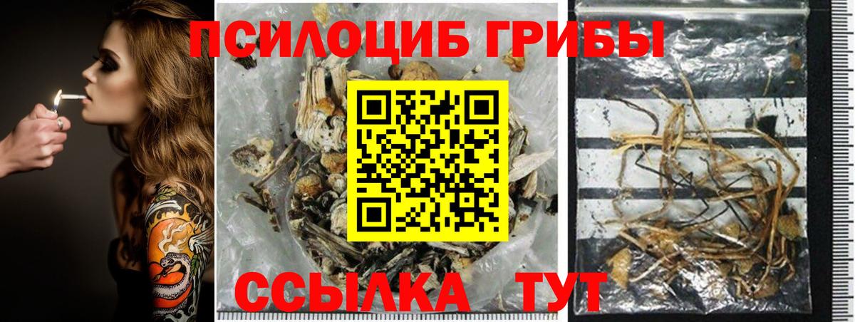 Псилоцибиновые грибы мицелий Жигулёвск